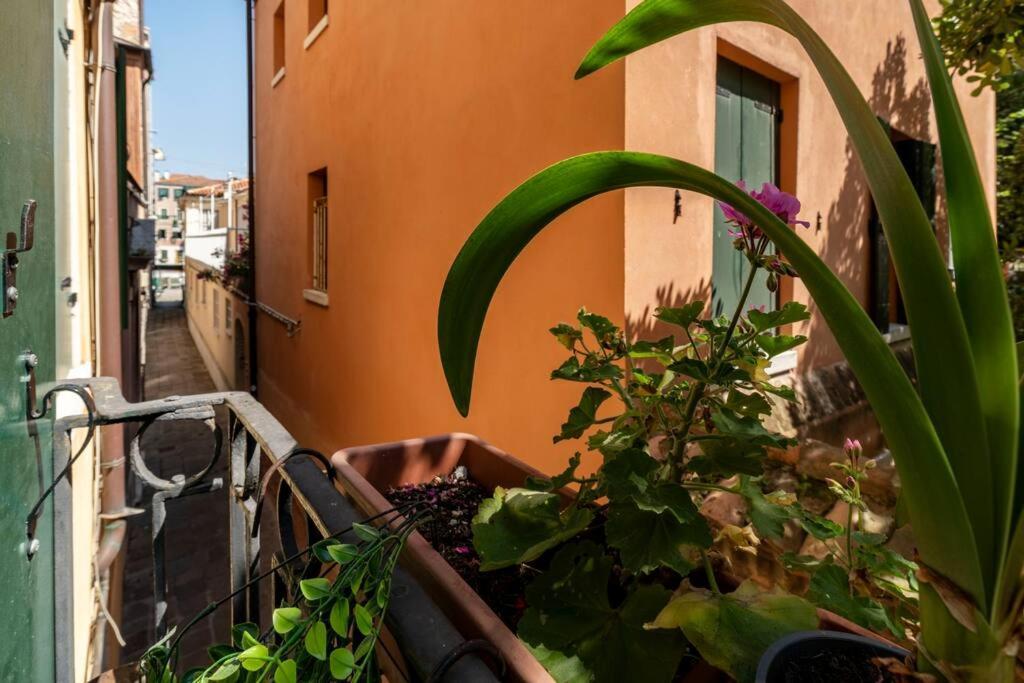 Ca' Mandorla 027042Loc09523 Leilighet Venezia Eksteriør bilde